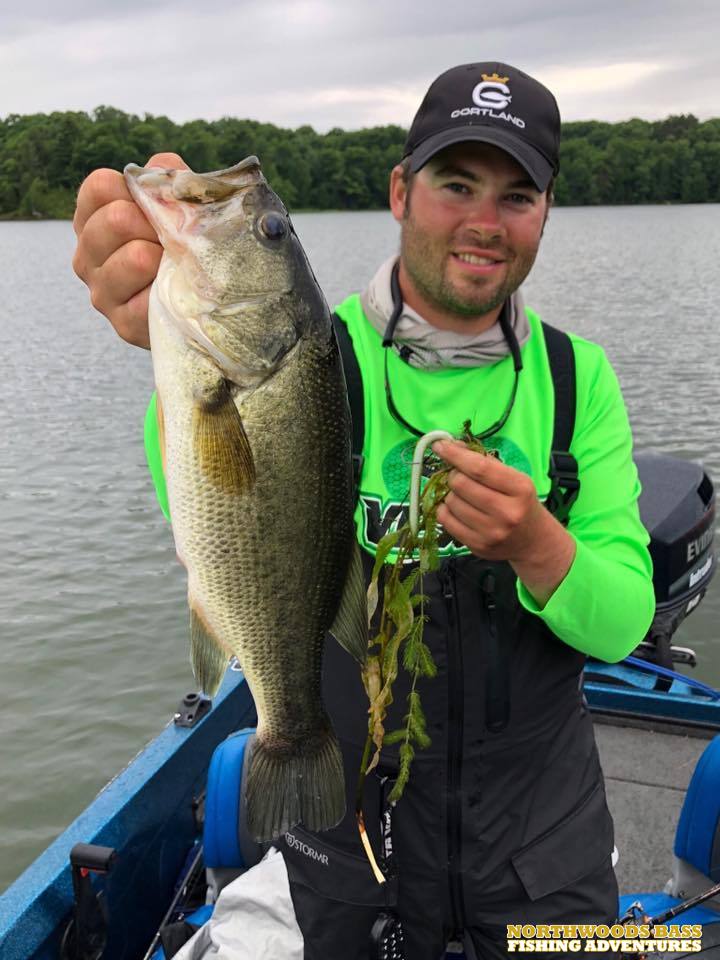 Wisconsin Bass Fishing Guide  Tips for Bigger Summer Largemouths