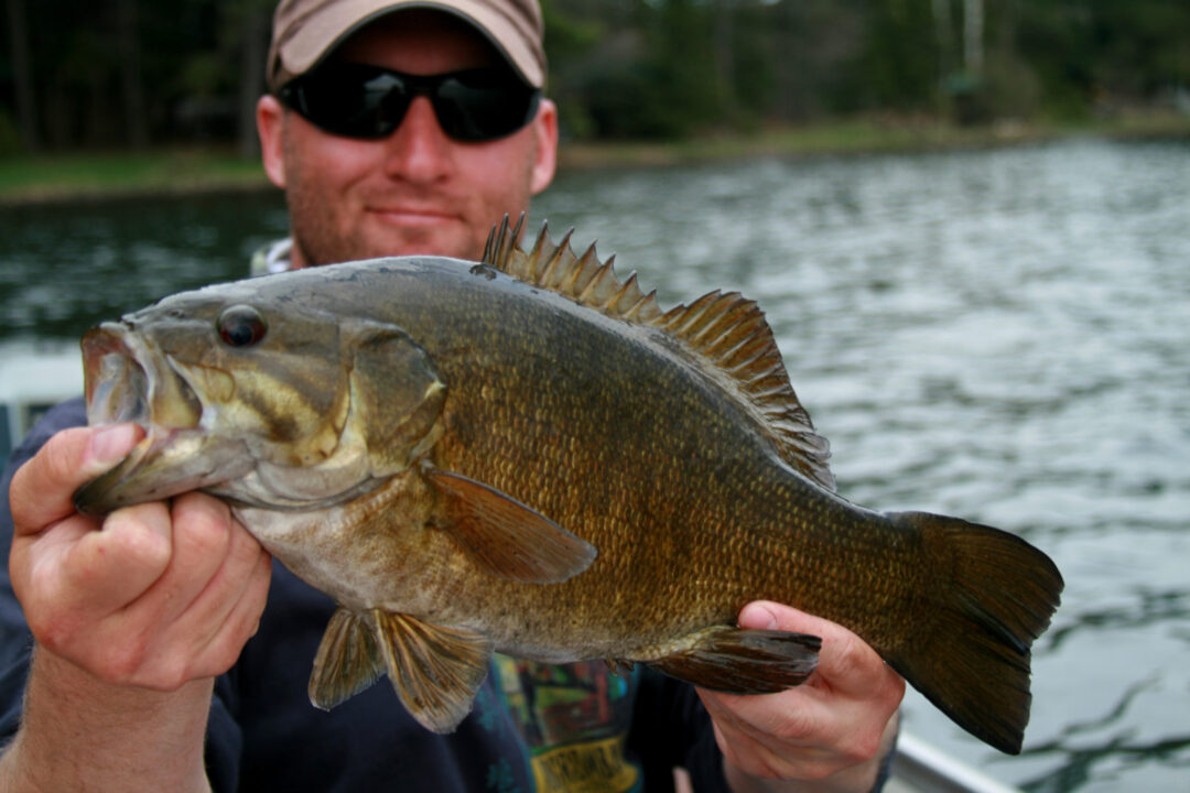 Magic Temperatures for River Smallmouth Bass - In-Fisherman