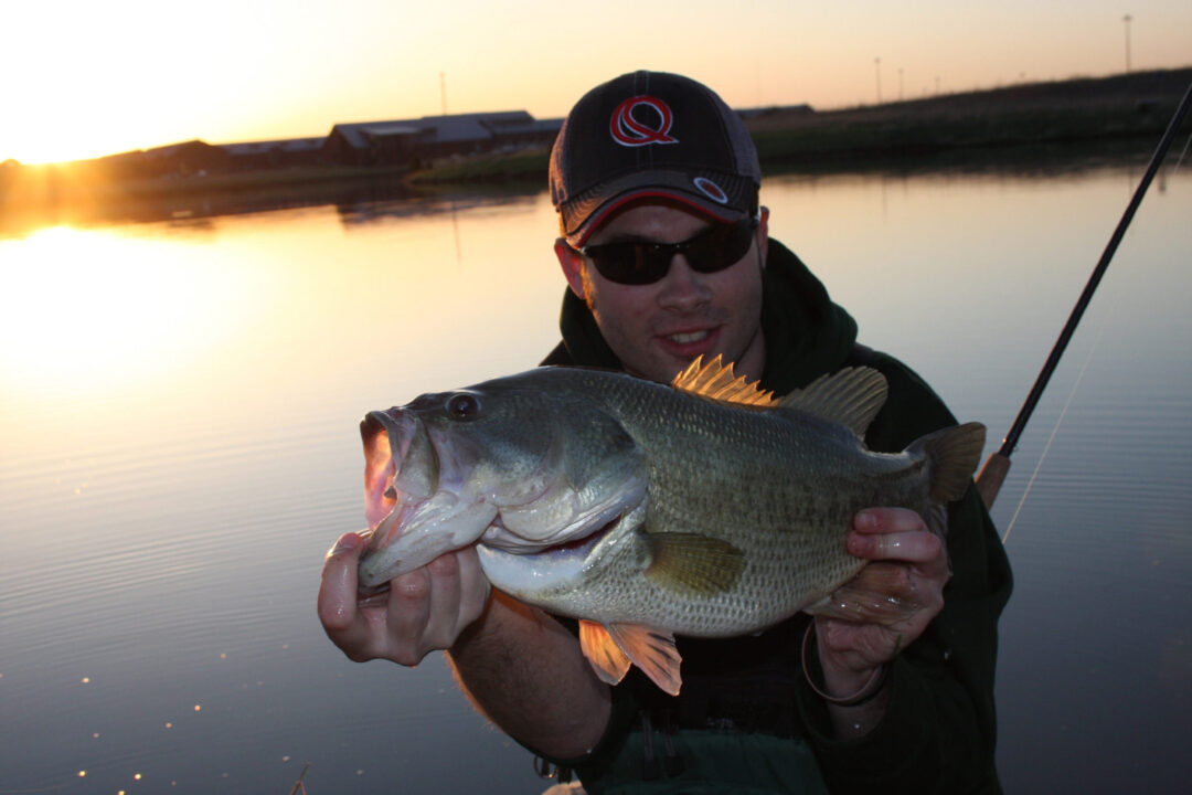 How to Catch Bass on Swimbaits Through the Spring - Game & Fish