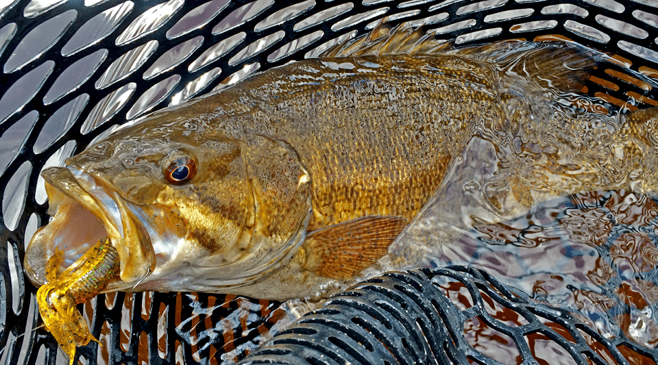 Wisconsin Bass Fishing Guide  Northwoods Bass Fishing Adventures