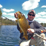 wisconsin smallmouth bass