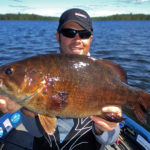 wisconsin smallmouth bass