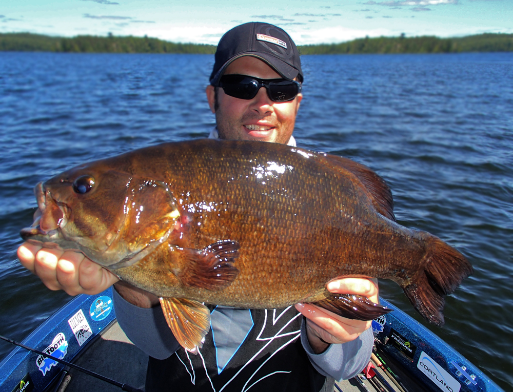 wisconsin smallmouth bass