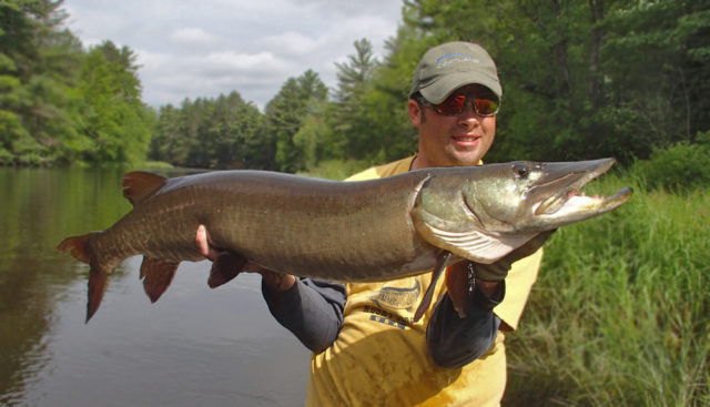 Fox River Valley Muskies Inc. Seminar @ Chandler’s Chop House