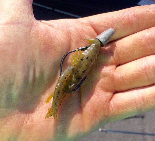 Wisconsin Bass Fishing Guide  Match The Hatch Rusty Crayfish