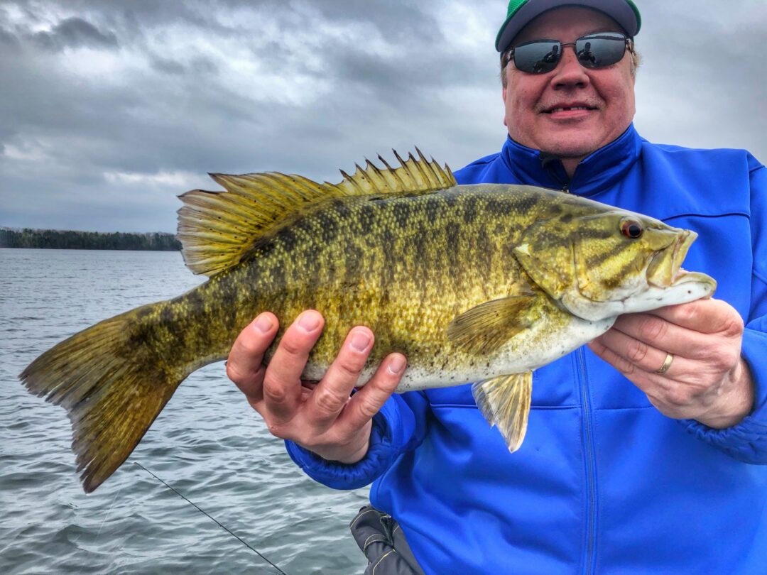 Clear Lake Bait & Tackle Inc. - The Yellows have been showing themselves  this week. Fish 7-10 ft over rocks.