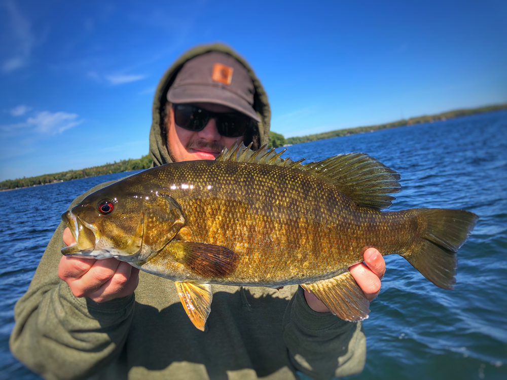 small mouth bass