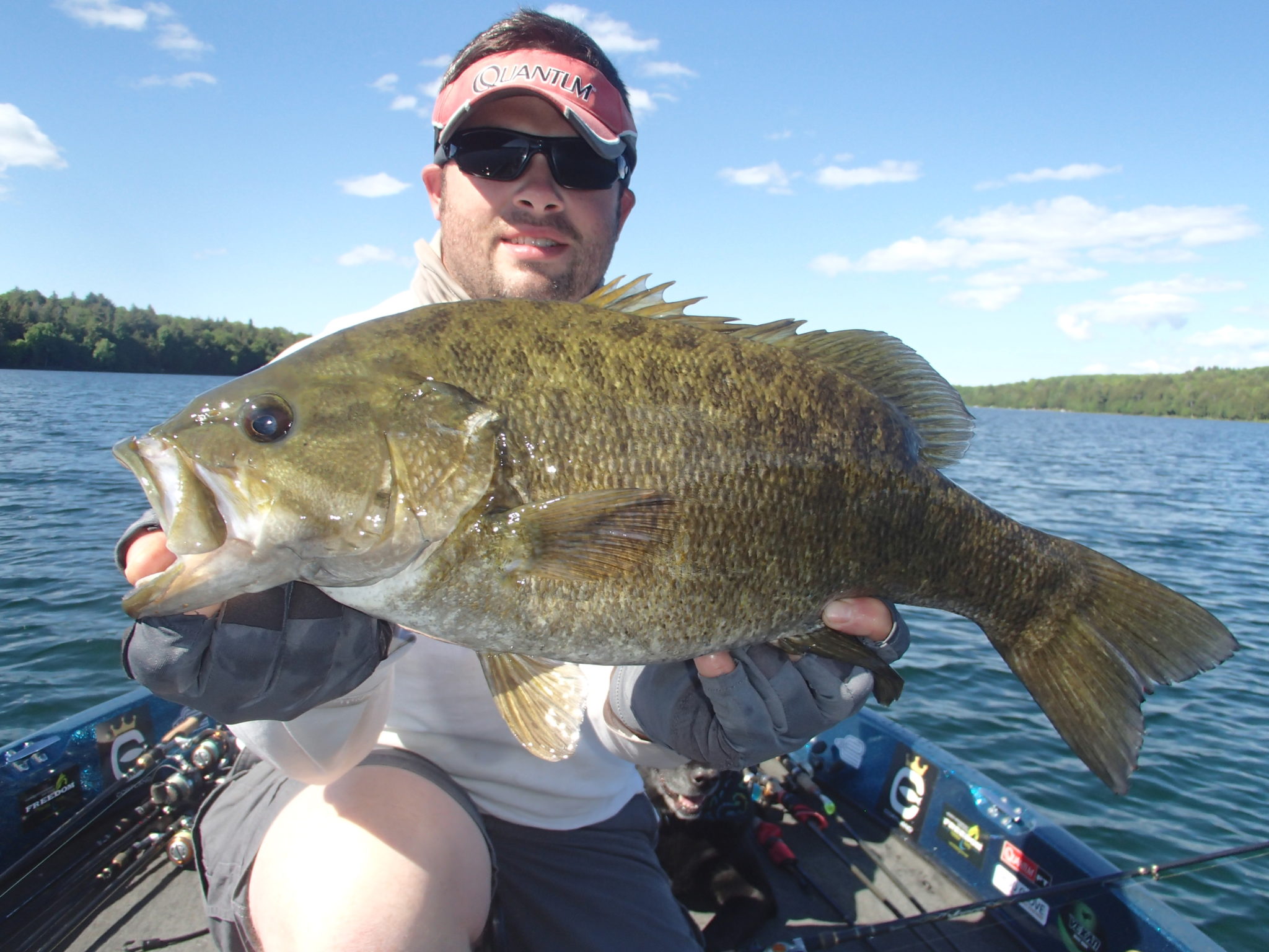 Wisconsin Bass Fishing Guide  Key Insights to Monster Bass