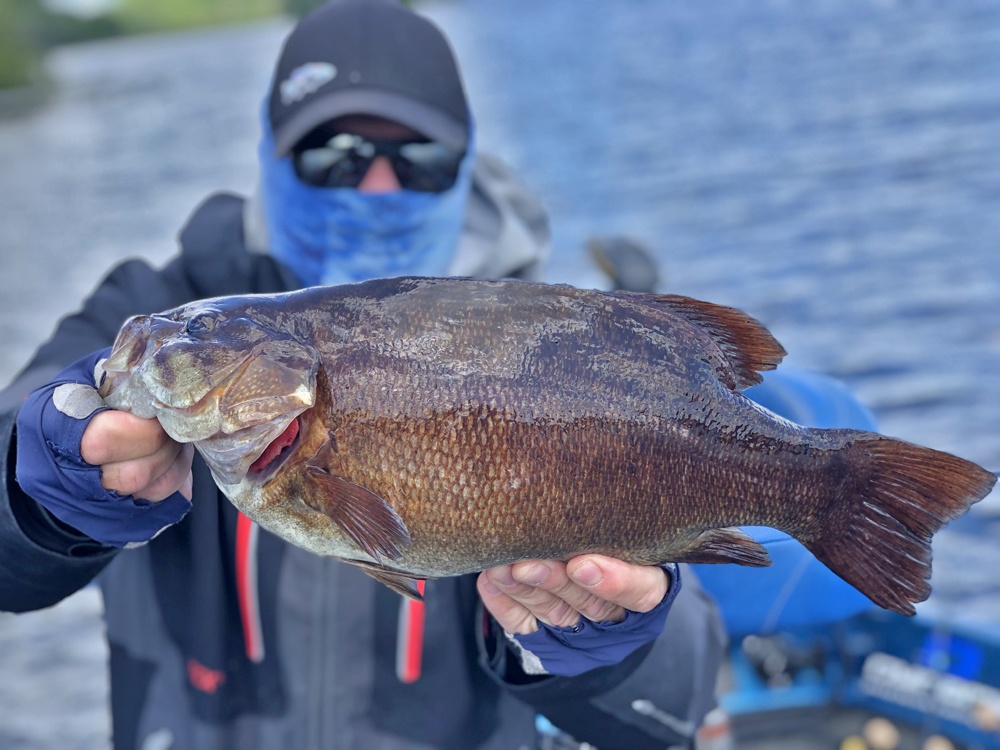 Wisconsin Bass Fishing Guide  Northwoods Bass Fishing Adventures