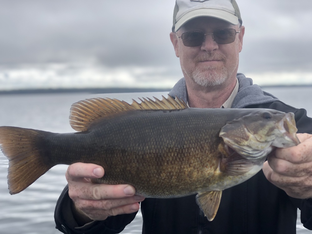 Wisconsin Bass Fishing Guide  Top Smallmouth Bass Baits of 2020