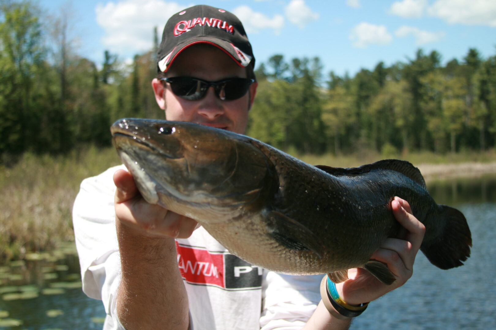 Lure Fishing For Bowfin