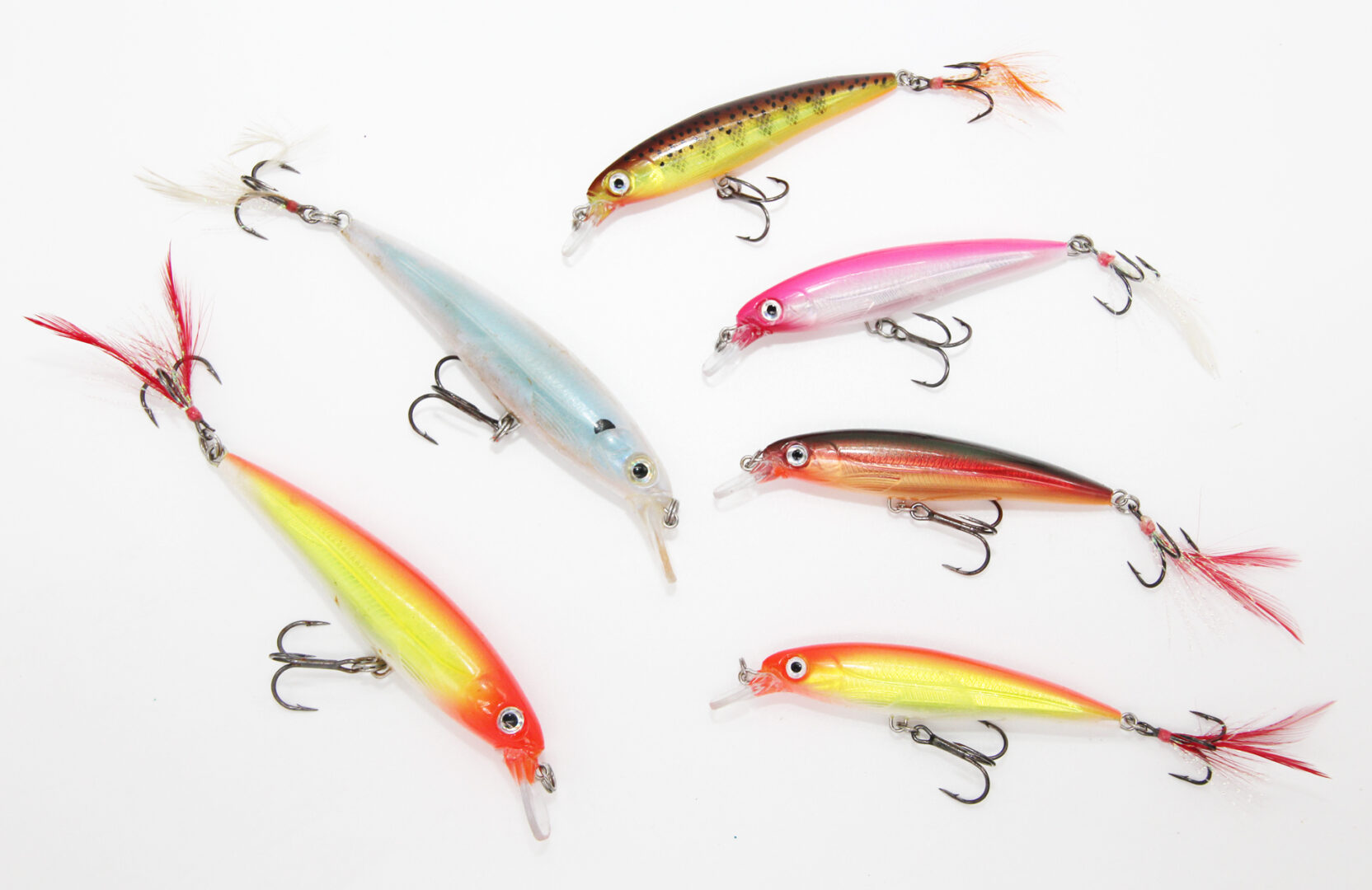 Wisconsin Bass Fishing Guide  Dynamic Lures Suspended Jerkbaits