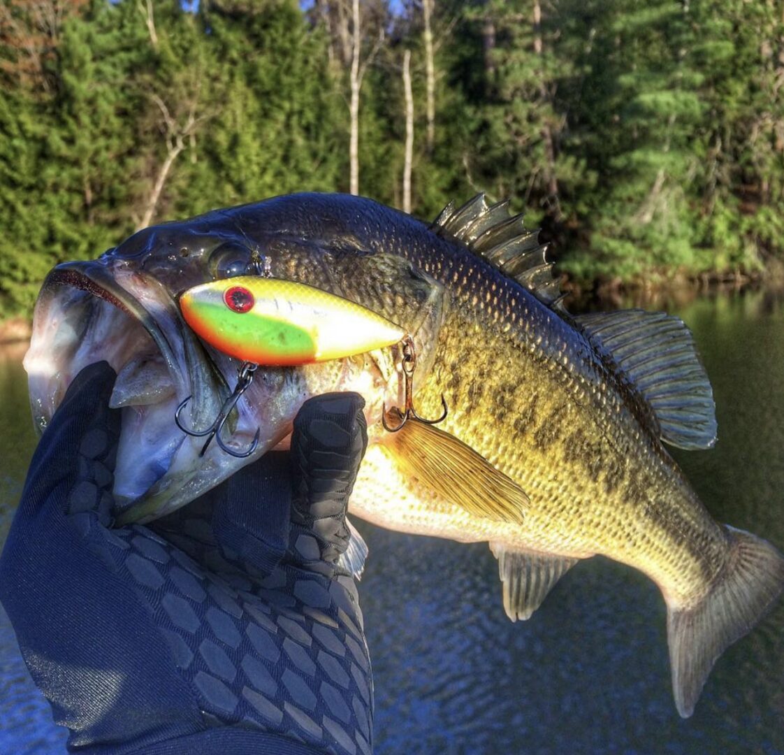 How to Fish a Crankbait for Largemouth Bass with the Best Crankbaits