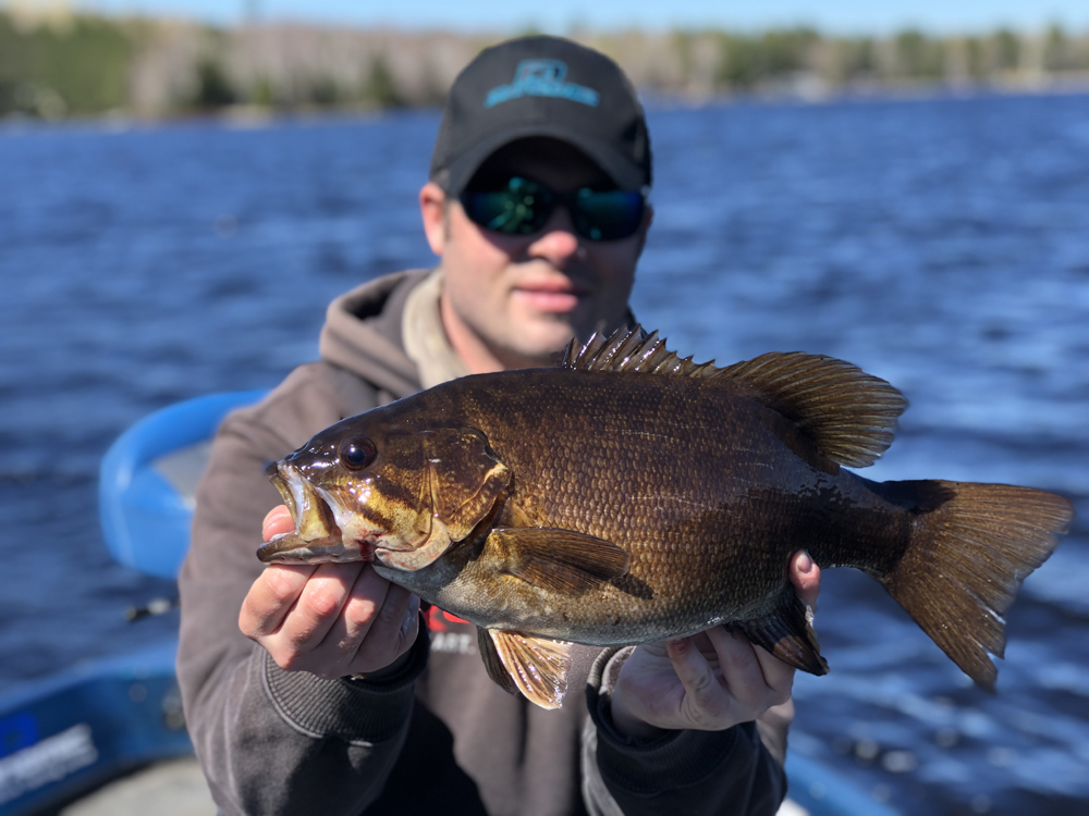 Wisconsin Bass Fishing Guide  Dynamic Lures J-Specs for Smallmouths