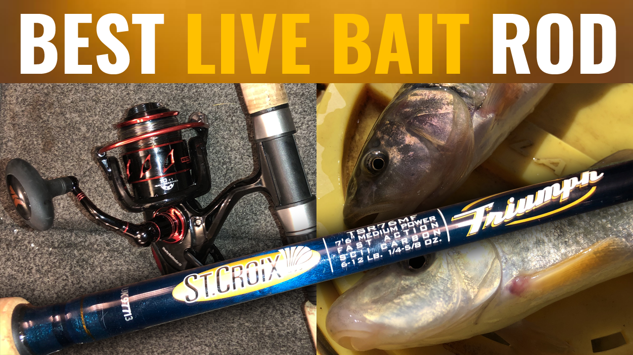 Wisconsin Bass Fishing Guide  St. Croix Triumph - A Livebait Rod