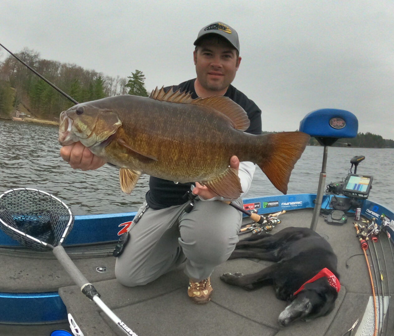 Wisconsin Bass Fishing Guide  Jerkbait Tips for More Spring
