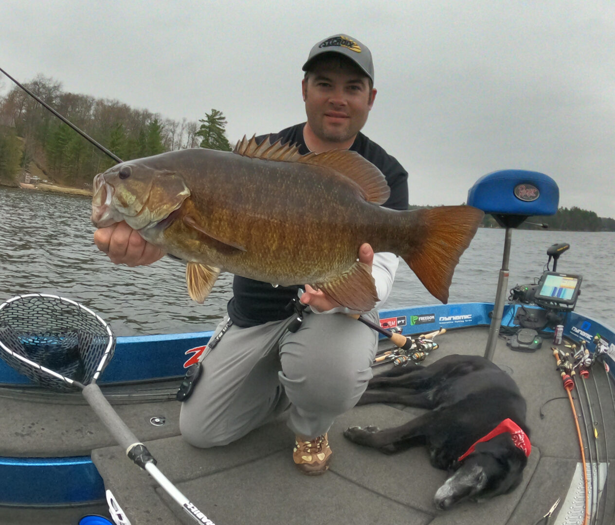 Shallow Jerkbait, Bass Fishing & Trolling