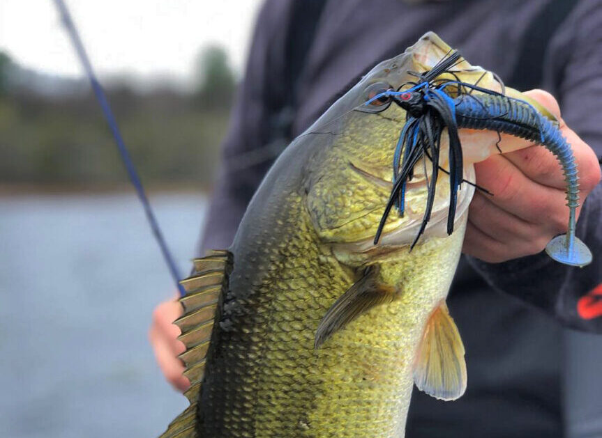 Tech Tricks: Mix and match bladed baits and skirted lures