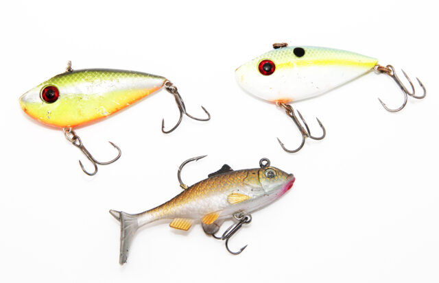 Wisconsin Bass Fishing Guide  Lures for Shallow Water Largemouths This  Spring