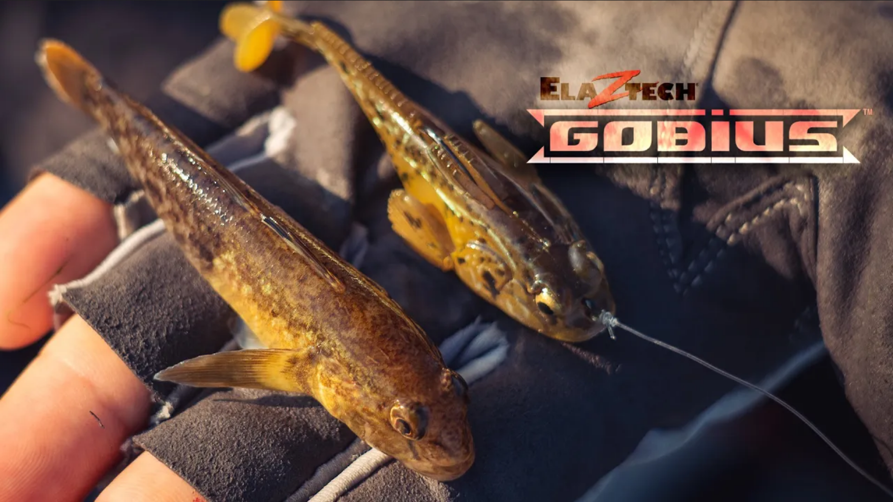 Wisconsin Bass Fishing Guide | The Z-Man Gobius™ swimbait