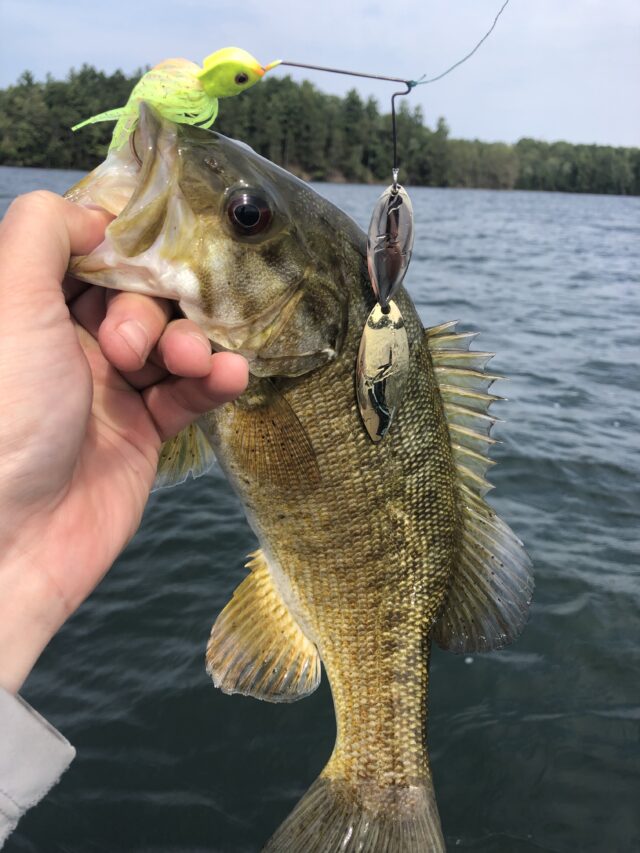 Wisconsin Bass Fishing Guide