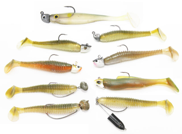 Wisconsin Bass Fishing Guide  Swimbaits You Need This Fall