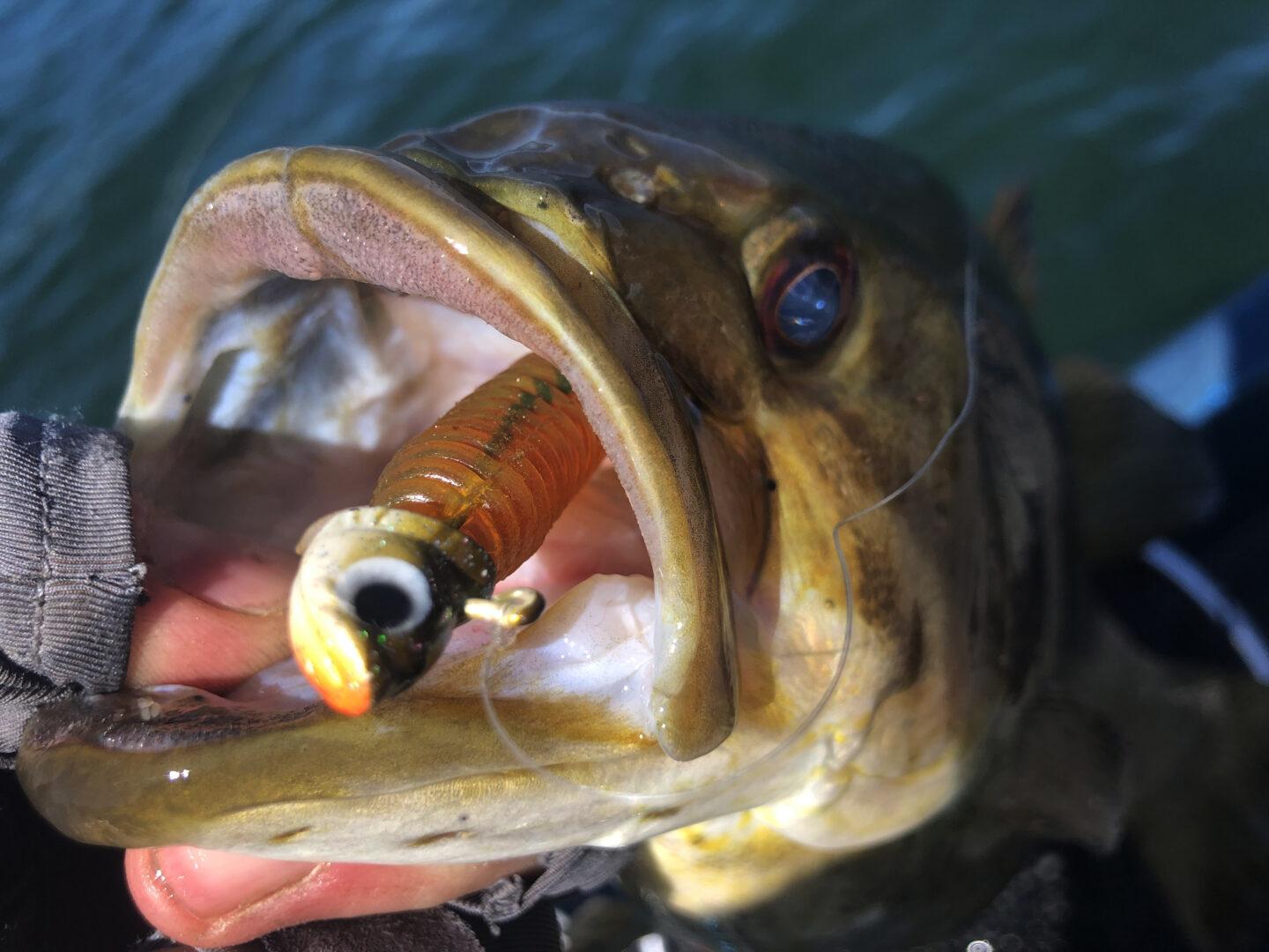 Wisconsin Bass Fishing Guide  GOAT Smallmouth Lures (Part I)