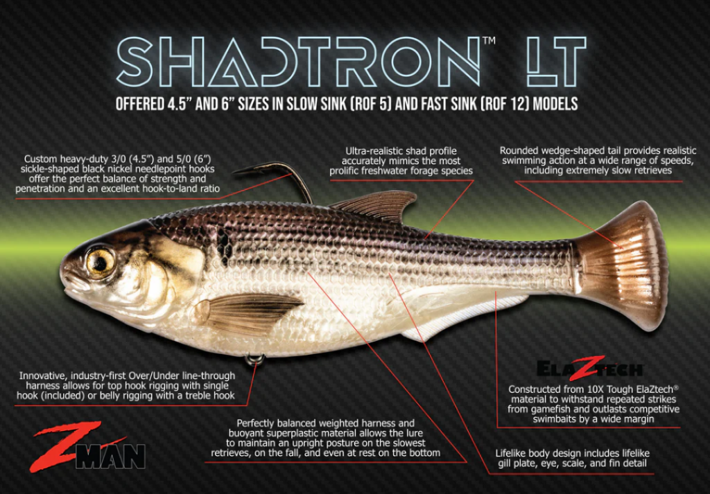 Wisconsin Bass Fishing Guide | The Ultimate Shad Swimbait