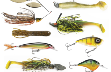 baits_transition