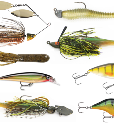 baits_transition