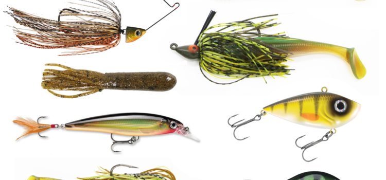 baits_transition